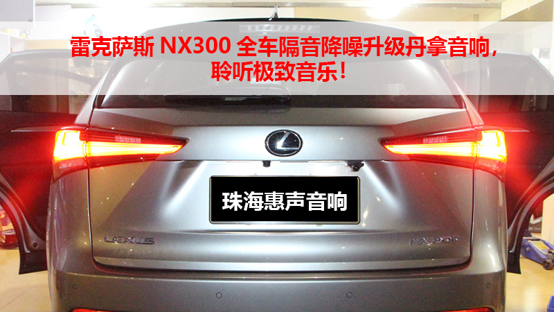 雷克萨斯NX300全车隔音降噪升级丹拿音响，聆听极致音乐！