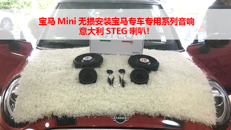 宝马Mini无损安装宝马专车专用系列音响意大利STEG喇叭！