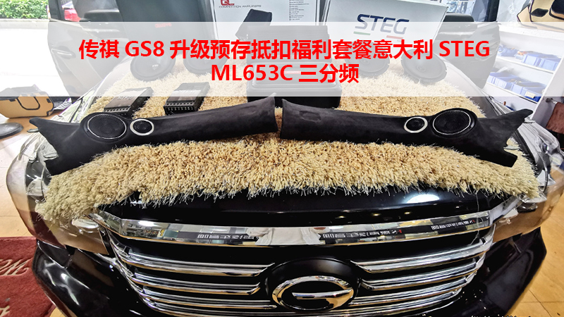 传祺GS8升级预存抵扣福利套餐意大利STEG ML 653C三分频 