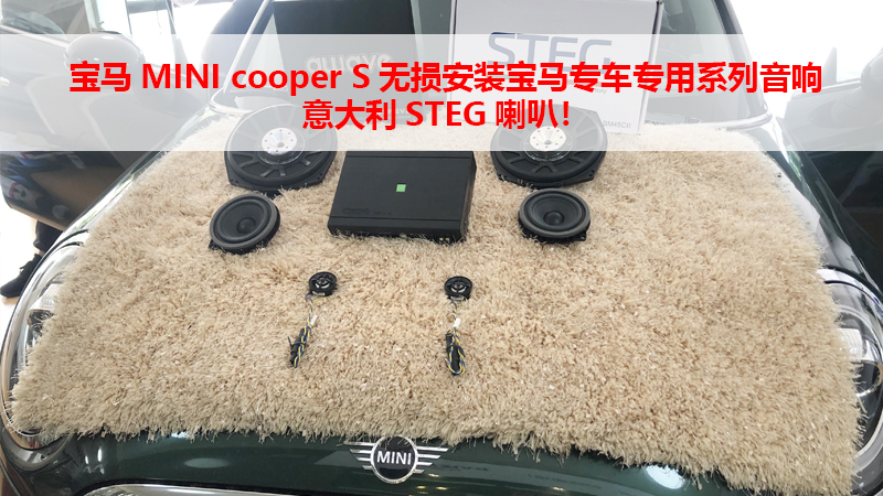 宝马MINI cooper S无损安装宝马专车专用系列音响意大利STEG喇叭！