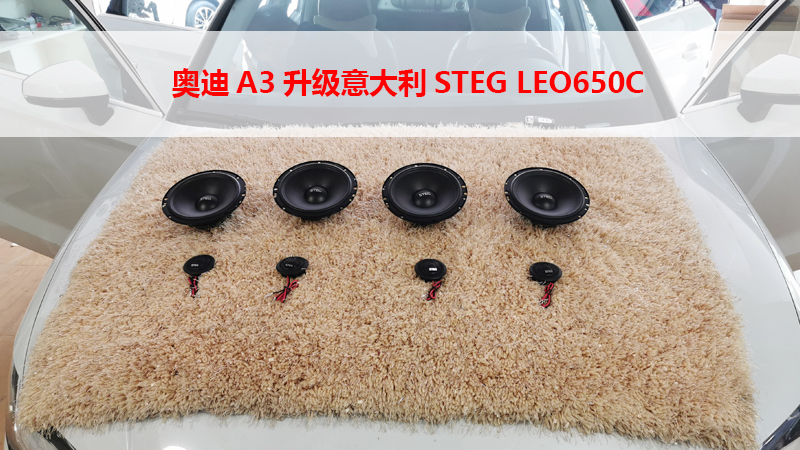 奥迪A3升级意大利STEG LEO650C