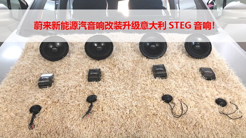 蔚来新能源汽音响改装升级意大利STEG音响！