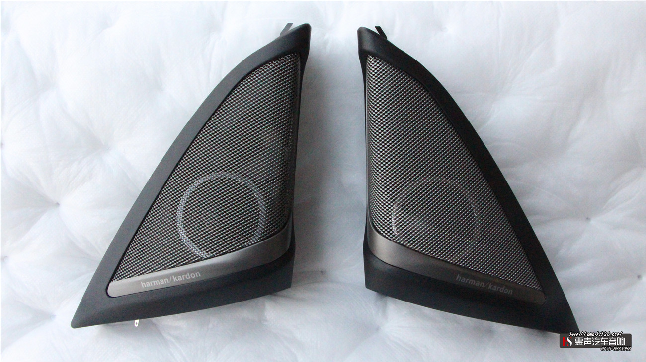 STEG ST650C高音02.jpg